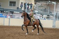 2020 - AB Morgan Horse - Sat, Sept 05 - 05281