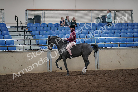 2019 Morgan Horse Show - Aug 30, 2019 - 31298