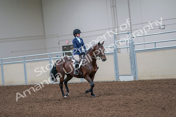 2020 - AB Morgan Horse - Fri, Sept 04 - 06063