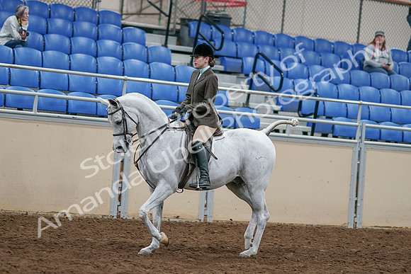 2020 - AB Morgan Horse - Sat, Sept 05 - 14434
