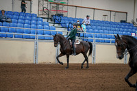 2020 - AB Morgan Horse - Fri, Sept 04 - 03943