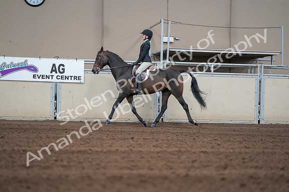 2019 Morgan Horse Show - Sept 01, 2019 - 03678