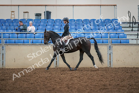 2019 Morgan Horse Show - Aug 30, 2019 - 23191