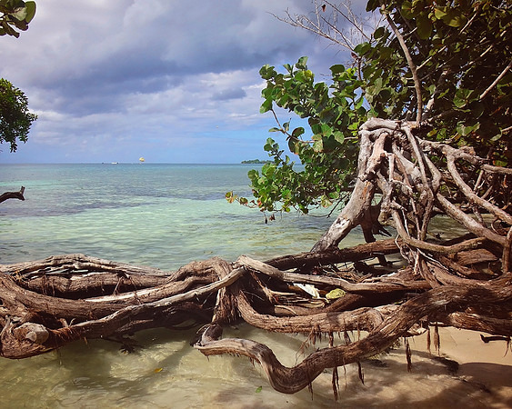 Jamaica - 064