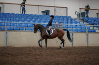 2019 Morgan Horse Show - Aug 31, 2019 - 05557