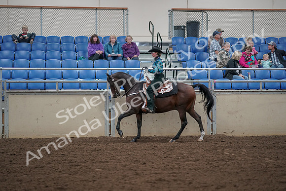 2019 Morgan Horse Show - Aug 30, 2019 - 26065