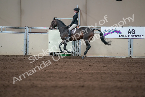2019 Morgan Horse Show - Sept 01, 2019 - 03739