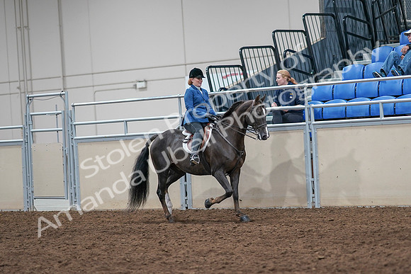 2020 - AB Morgan Horse - Sat, Sept 05 - 05073