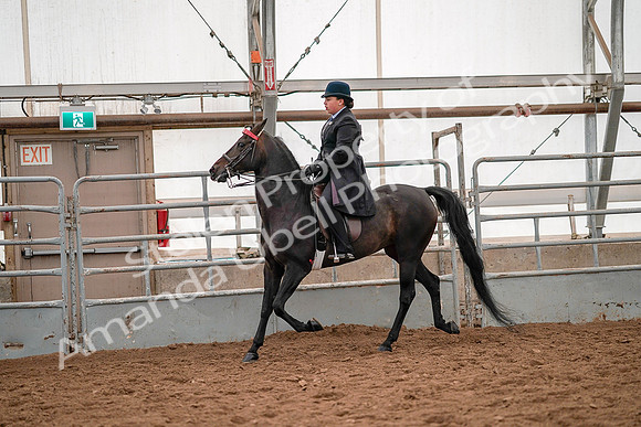 July 19, 2019 - 14097