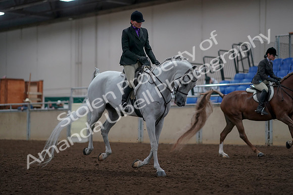 2019 Morgan Horse Show - Aug 31, 2019 - 16109