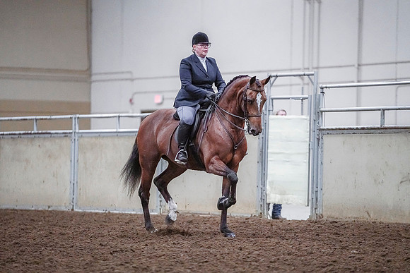 Spring Fling - Saturday - April 20, 2019  -  03799