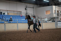 2019 Morgan Horse Show - Aug 31, 2019 - 03372