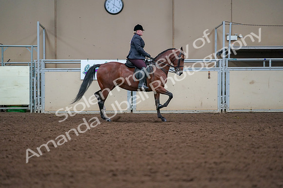 2019 Morgan Horse Show - Aug 30, 2019 - 20707