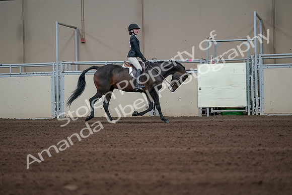 2019 Morgan Horse Show - Sept 01, 2019 - 03858