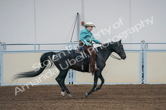 2020 - AB Morgan Horse - Fri, Sept 04 - 00490