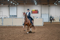 2020 - AB Morgan Horse - Sat, Sept 05 - 11362