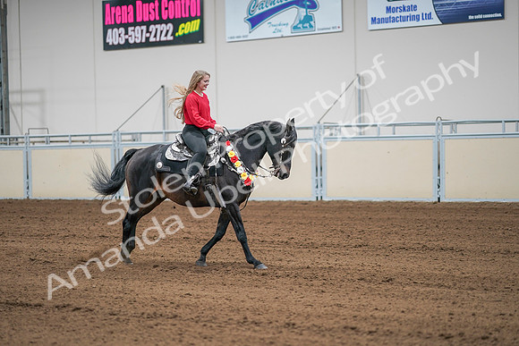 2020 - AB Morgan Horse - Sat, Sept 05 - 10545