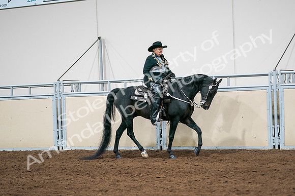 2020 - AB Morgan Horse - Sat, Sept 05 - 08939