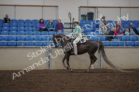2019 Morgan Horse Show - Aug 30, 2019 - 26078