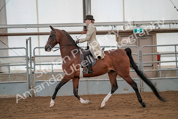 July 20, 2019 - 02155