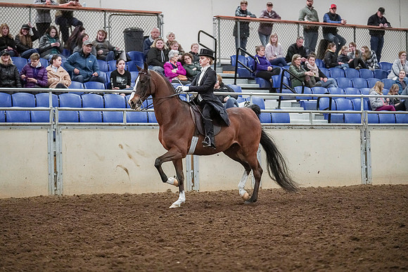 Spring Fling - Saturday - April 20, 2019  -  04396