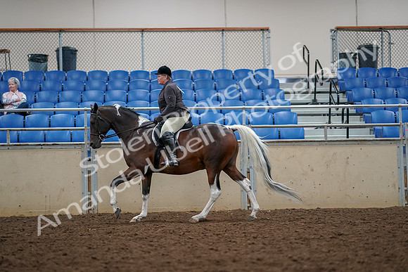 2019 Morgan Horse Show - Aug 30, 2019 - 22420