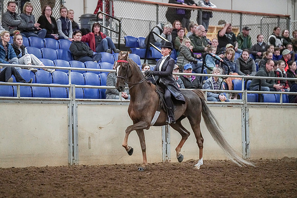 Spring Fling - Saturday - April 20, 2019  -  04354