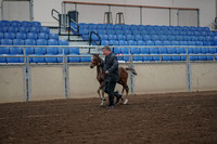 2019 Morgan Horse Show - Aug 31, 2019 - 00368