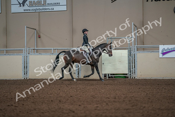 2019 Morgan Horse Show - Aug 31, 2019 - 05158
