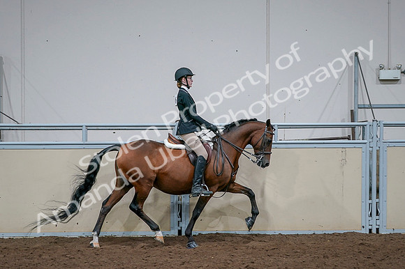 2020 - AB Morgan Horse - Fri, Sept 04 - 06029