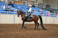 2020 - AB Morgan Horse - Sat, Sept 05 - 08877