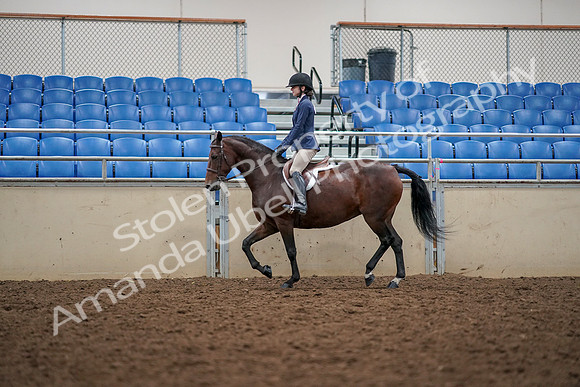 2019 Morgan Horse Show - Aug 30, 2019 - 23385