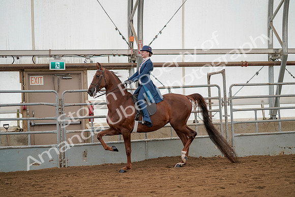 July 20, 2019 - 02193