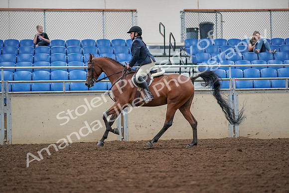 2019 Morgan Horse Show - Aug 30, 2019 - 16370