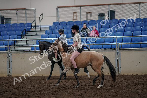 2019 Morgan Horse Show - Aug 30, 2019 - 31243