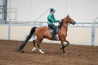 2020 - AB Morgan Horse - Fri, Sept 04 - 08686