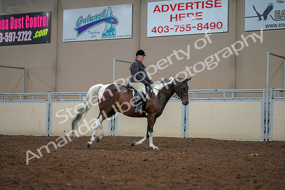 2019 Morgan Horse Show - Aug 30, 2019 - 22500