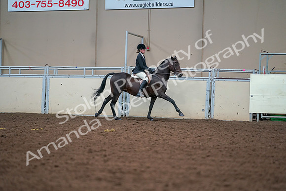 2019 Morgan Horse Show - Aug 30, 2019 - 21071