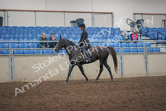 2019 Morgan Horse Show - Aug 31, 2019 - 07168