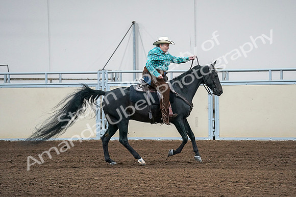 2020 - AB Morgan Horse - Fri, Sept 04 - 00484