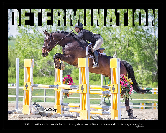 Determination