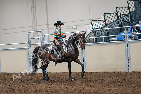 2020 - AB Morgan Horse - Sun, Sept 06 - 07560