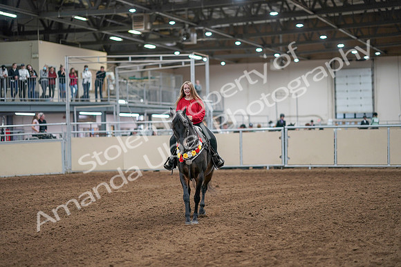 2020 - AB Morgan Horse - Sat, Sept 05 - 10535
