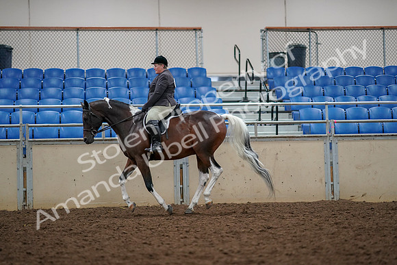 2019 Morgan Horse Show - Aug 30, 2019 - 22416