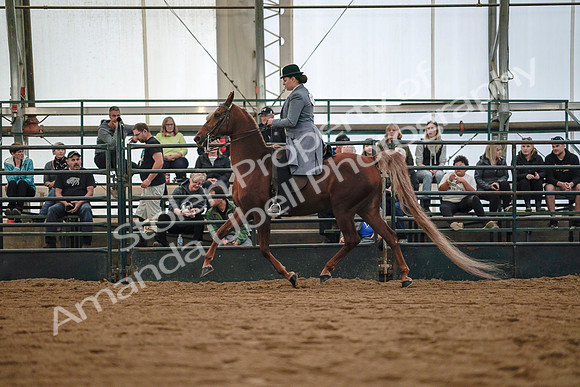 July 20, 2019 - 17029