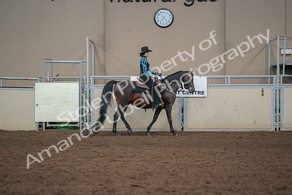 2019 Morgan Horse Show - Aug 30, 2019 - 26130