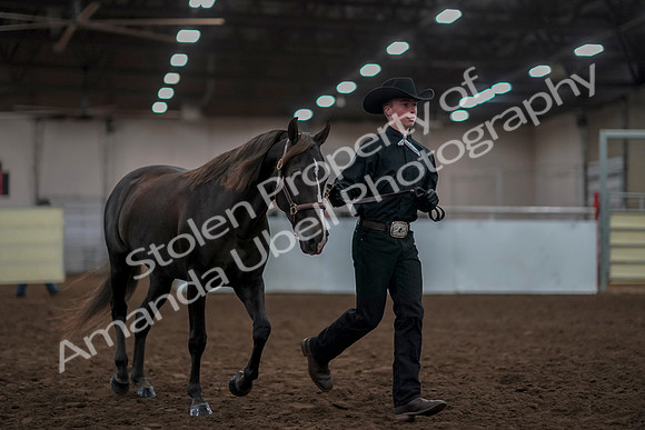 2019 Morgan Horse Show - Aug 31, 2019 - 01911