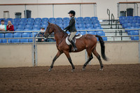 2019 Morgan Horse Show - Aug 31, 2019 - 04821