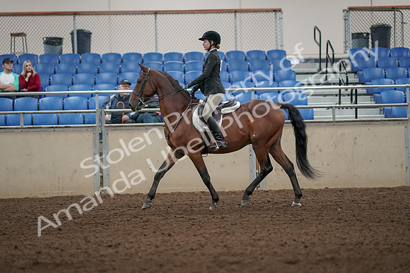 2019 Morgan Horse Show - Aug 31, 2019 - 04821