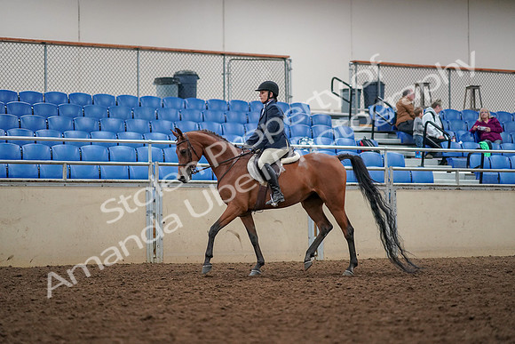 2019 Morgan Horse Show - Aug 30, 2019 - 22244